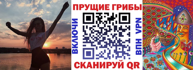 Галлюциногенные грибы Magic Shrooms omg маркетплейс Оха
